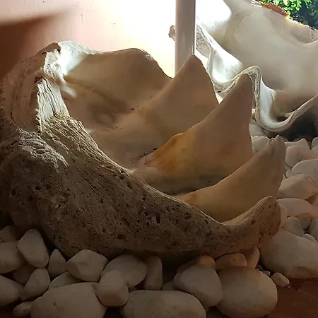 Apartamento Torre Bermeja *